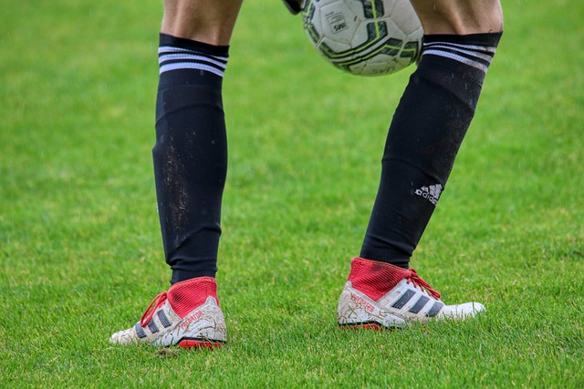 扎鸟：理解罗马球迷嘘声，为上次庆祝道歉，目标是进国家队